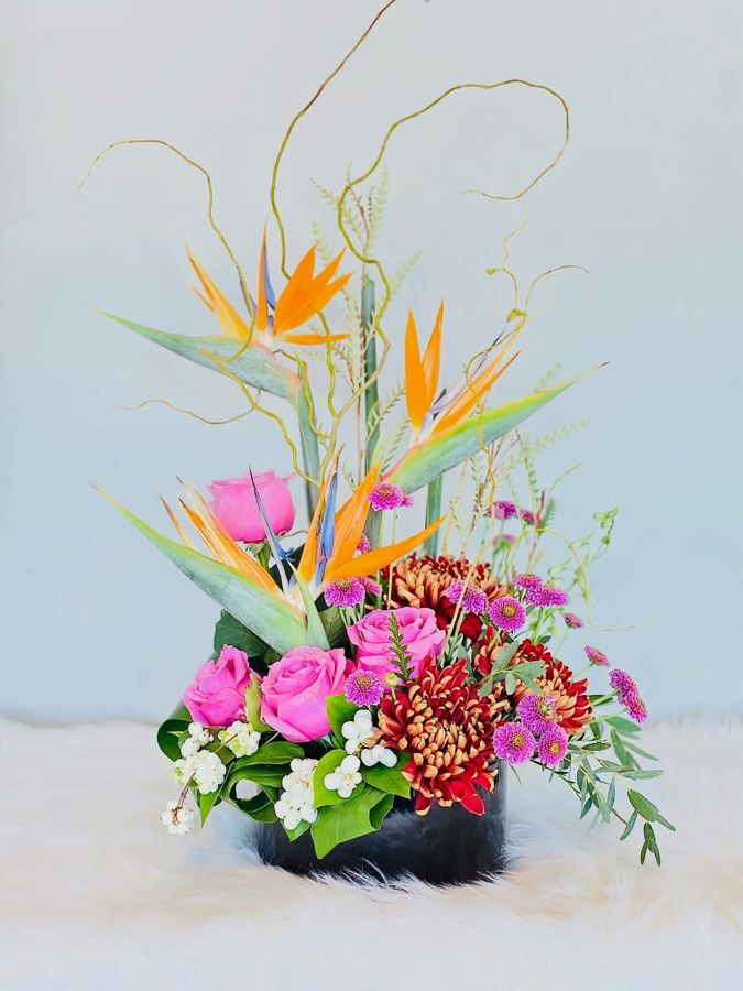 Bird of paradise and chrysanthemums
